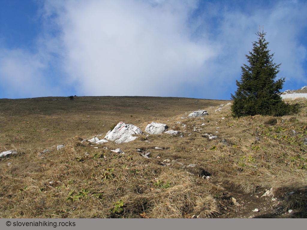 The first grassy slopes below Blegoš