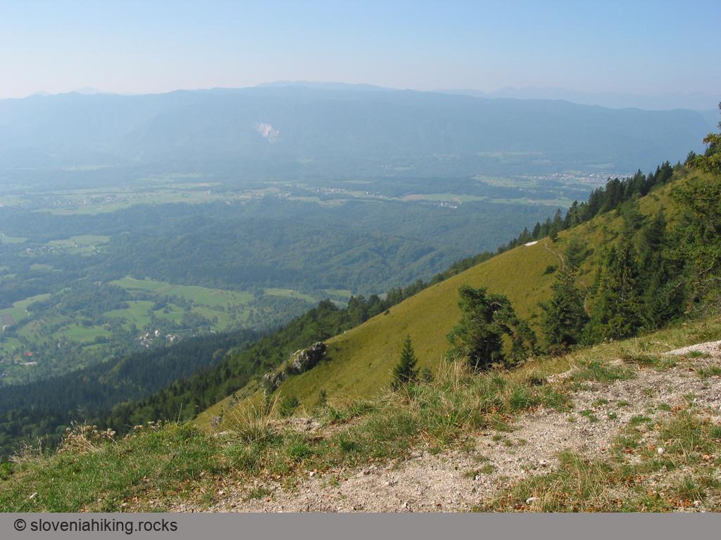 Razgledni travniki pod vrhom Breške gore