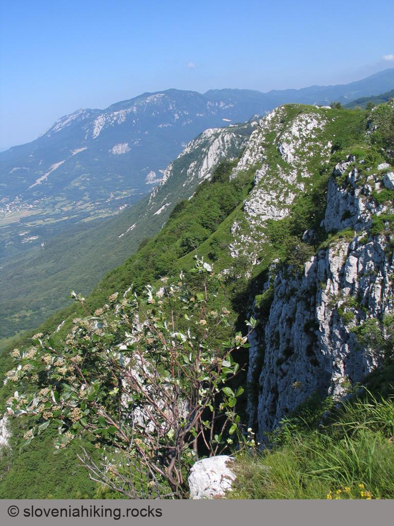 Podrta gora, v ozadju Čaven