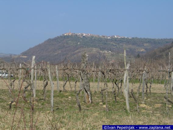 Padna nad vinogradi v dolini Drnice