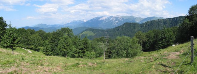 Pogled na Spodnje Bohinjske gore s planine Otavnik